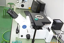 電子金属顕微鏡